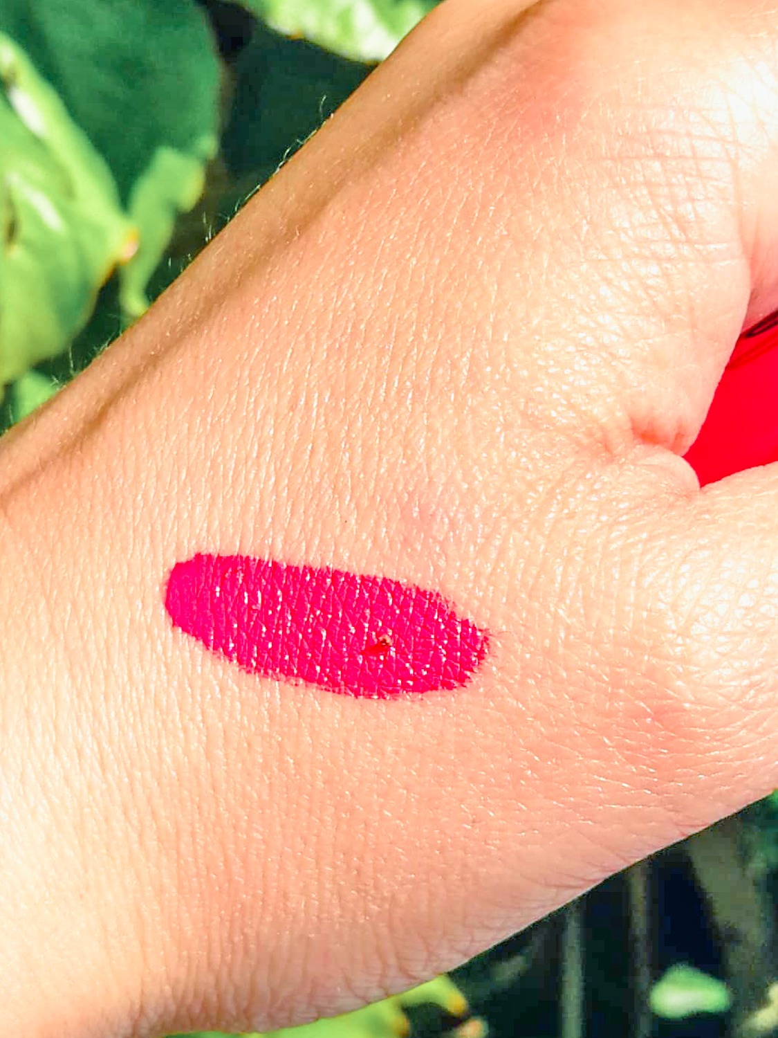 Le Rouge à Lèvres Vegan Rose Corail De All Tigers Blood Is The New Black